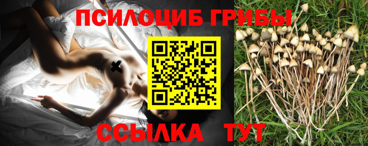 Лысьва  Псилоцибиновые грибы Magic Shrooms  Вход с VPN 