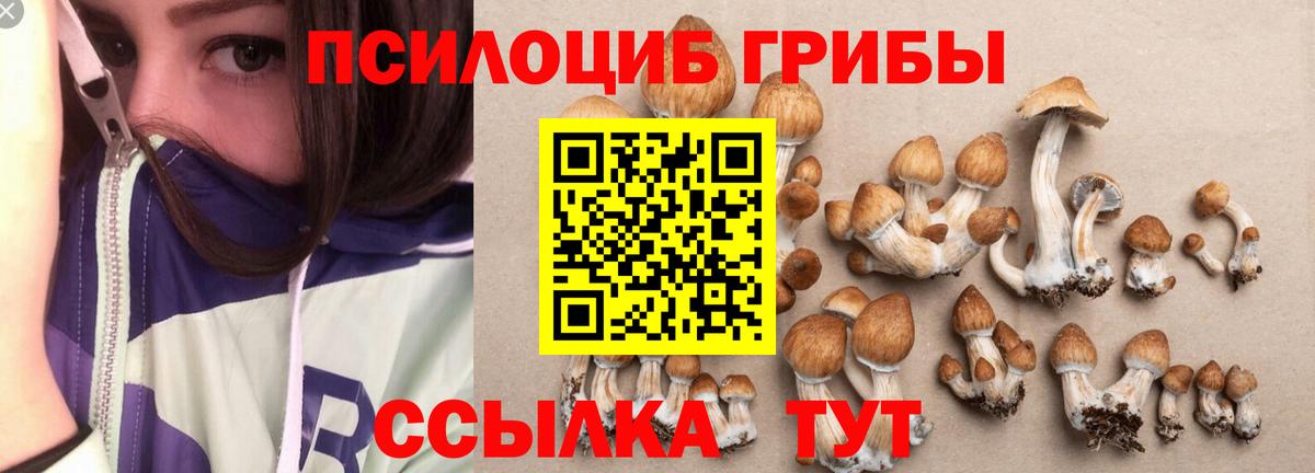 Псилоцибиновые грибы прущие грибы Лысьва